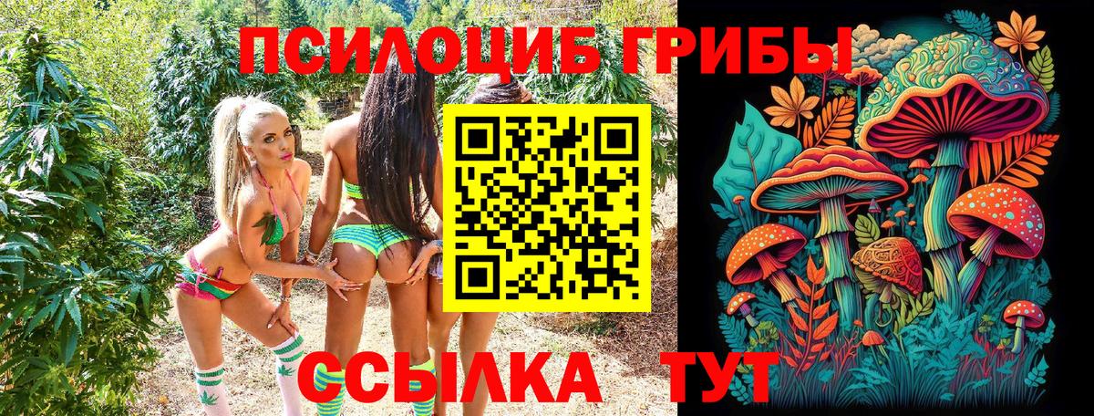 Псилоцибиновые грибы MAGIC MUSHROOMS Ялта